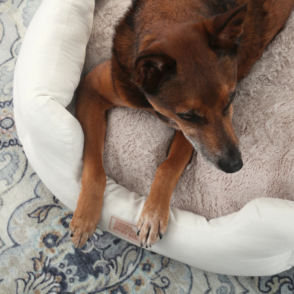 EVERYDAY Cuddletown Faux Linen Comfy Cozy Cuddler Pet Bed, Supportive & Calming, Water Repellent, Non-Slip Bottom, Machine Washable Cover, Cream, XS 20"X14"X6"