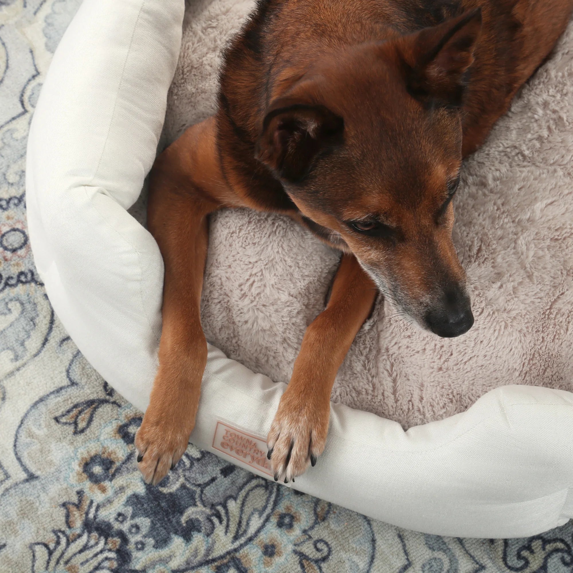 EVERYDAY Cuddletown Faux Linen Comfy Cozy Cuddler Pet Bed, Supportive & Calming, Water Repellent, Non-Slip Bottom, Machine Washable Cover, Cream, XS 20"X14"X6"